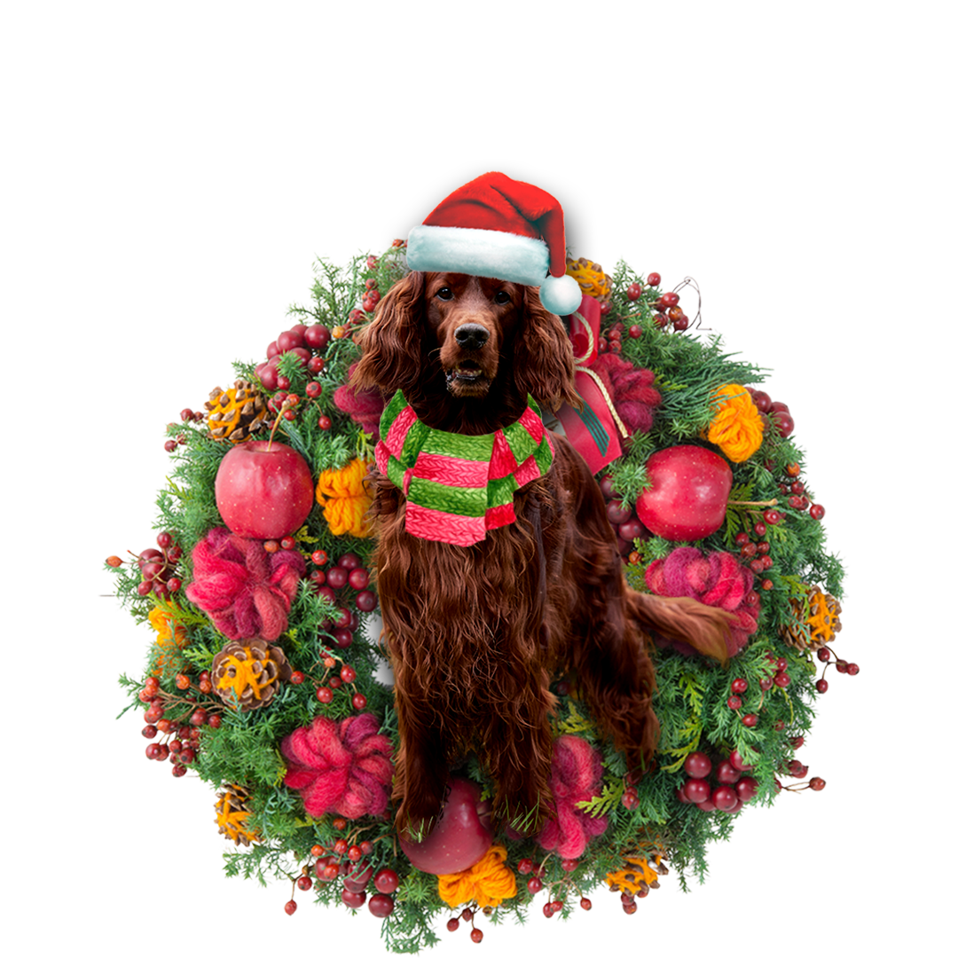 Irish Setter Christmas Ornament