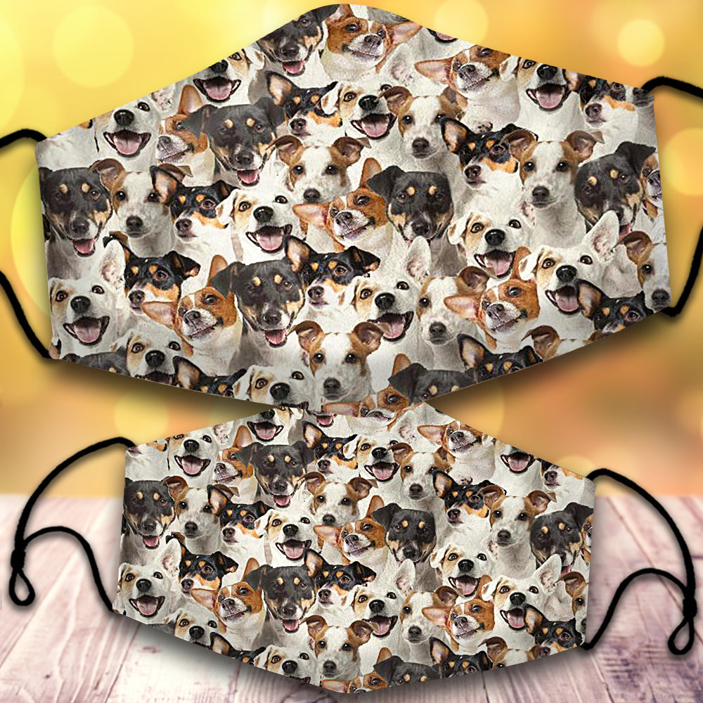 Jack Russell Terrier-Full Veil