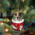 Jack Russell Terrier-In Christmas Pocket Two Sides Ornament