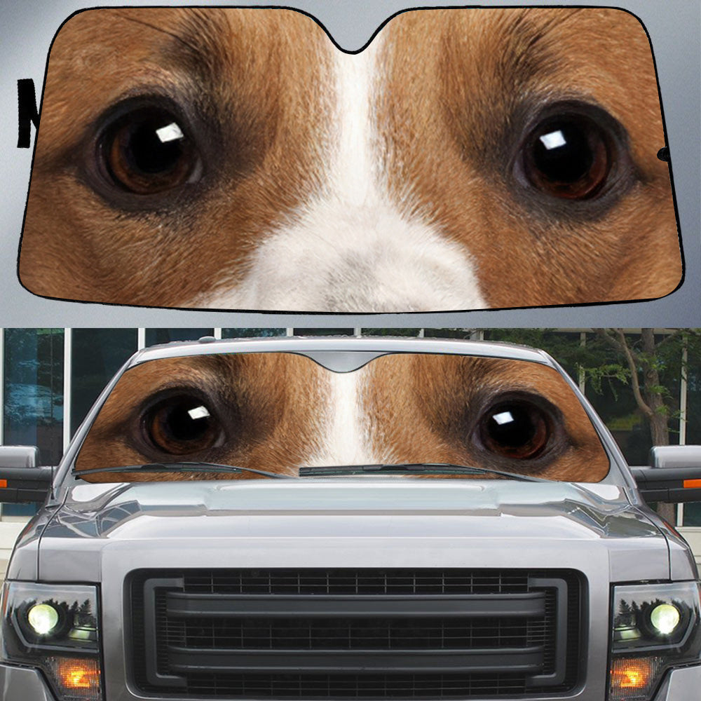 Jack Russell Terrier (2)'s Eyes-Beautiful Dog Eyes Car Sun Shade Cover Auto Windshield