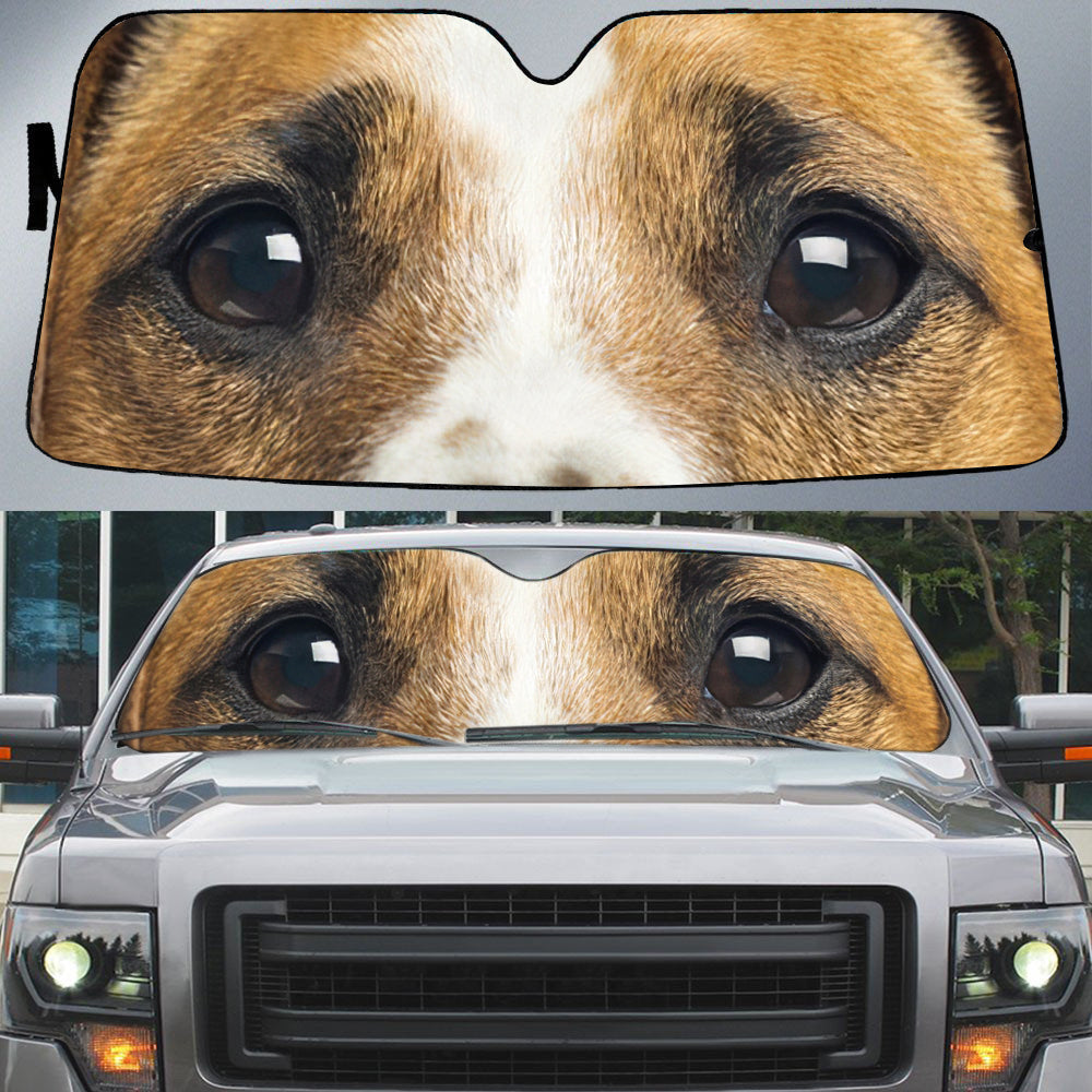Jack Russell Terrier's Eyes-Beautiful Dog Eyes Car Sun Shade Cover Auto Windshield