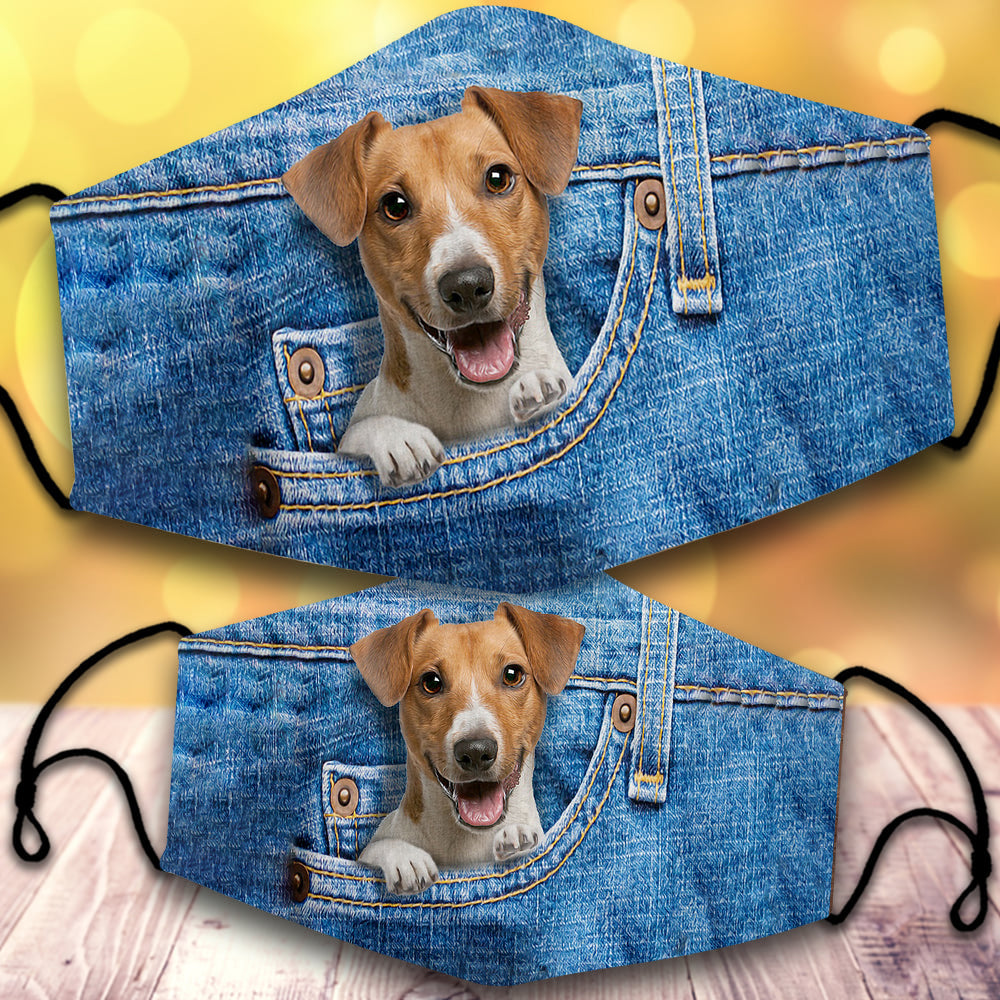 Jack russell terrier-In Pocket-Veil