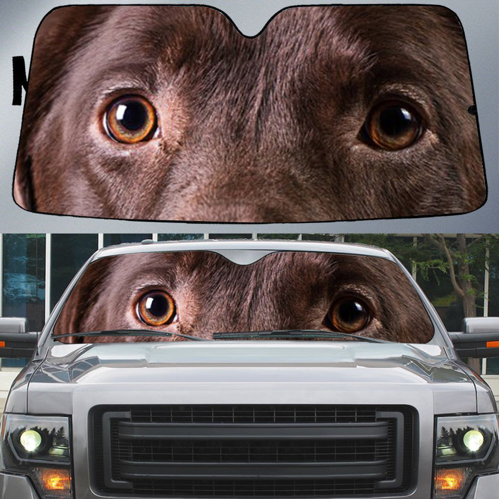 Labrador Chocolate's Eyes-Beautiful Dog Eyes Car Sun Shade Cover Auto Windshield