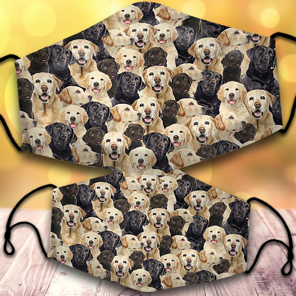 Labrador Retriever-Full Veil
