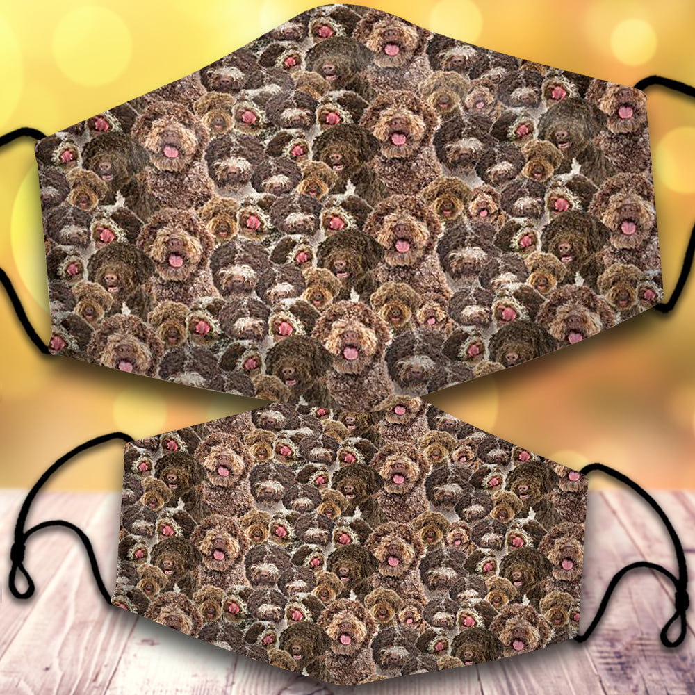 Lagotto Romagnolo-Full Veil