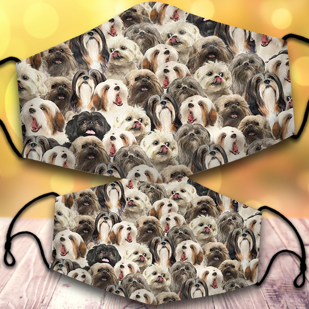 Lhasa Apso-Full Veil