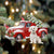 Maltese-Cardinal & Truck Two Sided Ornament