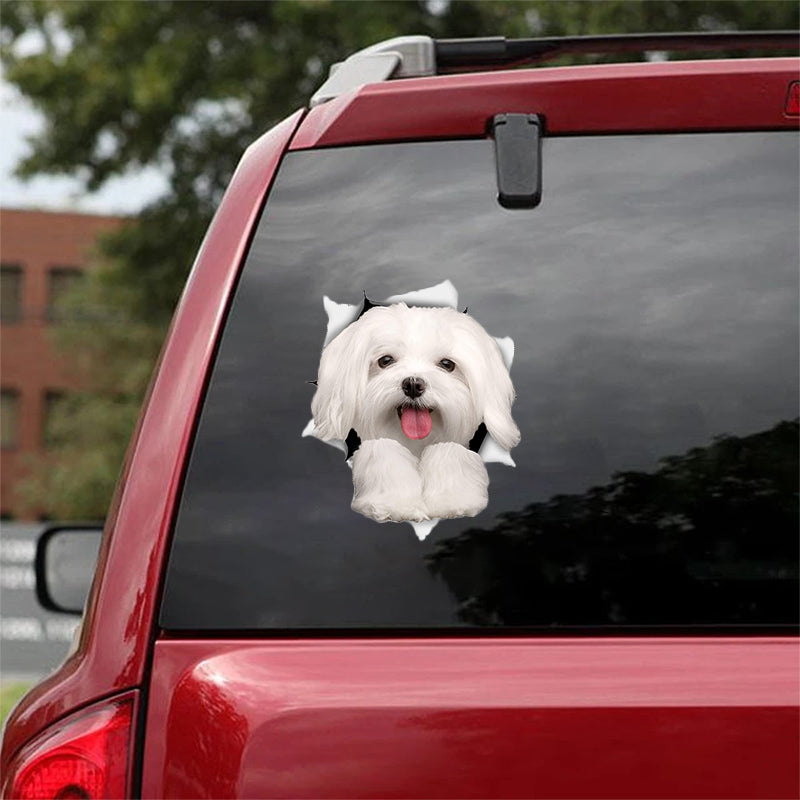 Cute Maltese CRACK CAR STICKER