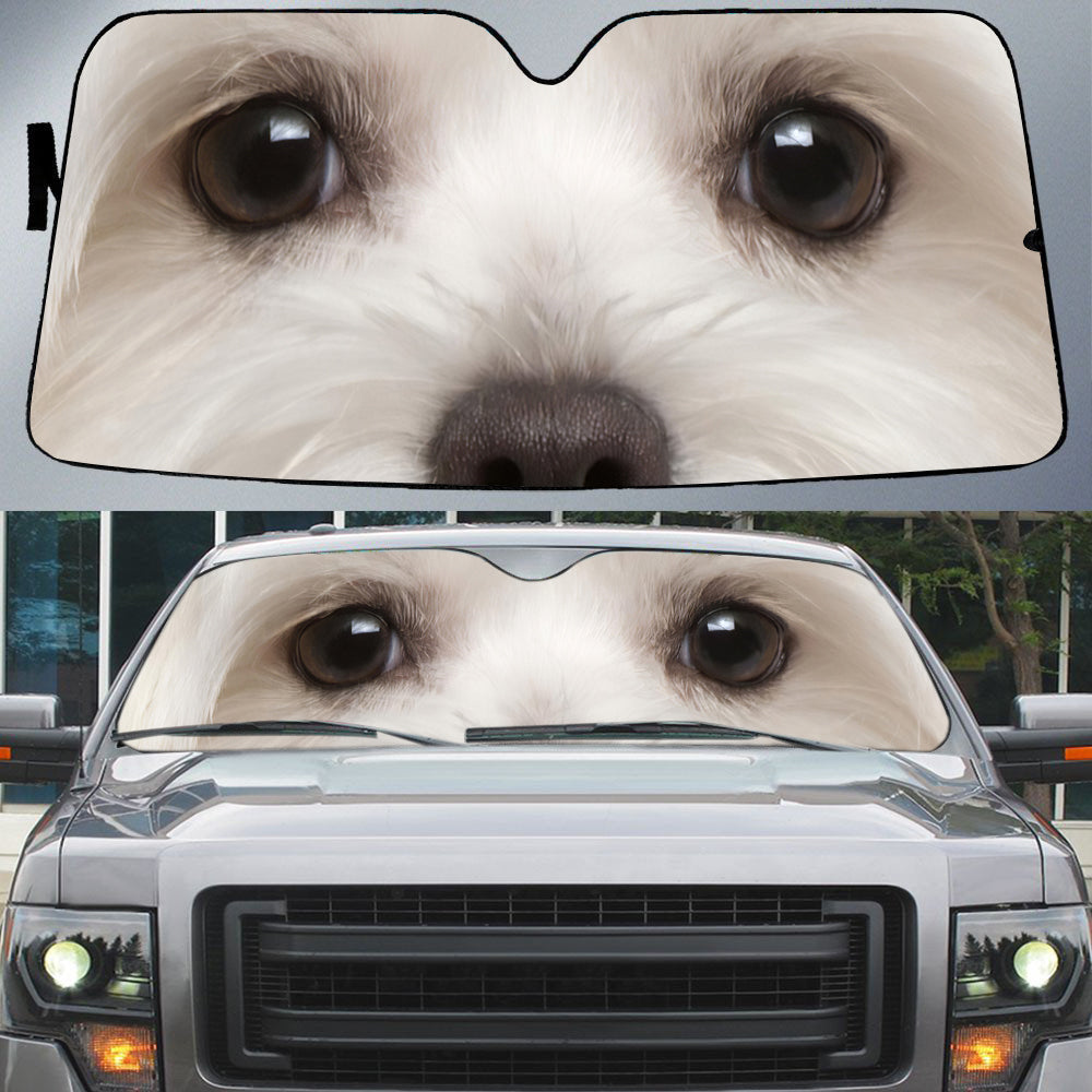 Maltese's Eyes-Beautiful Dog Eyes Car Sun Shade Cover Auto Windshield
