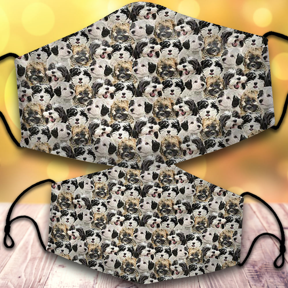 Maltipoo-Full Veil