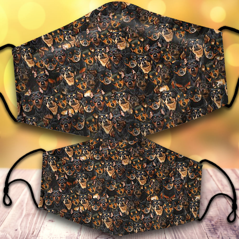 Miniature Pinscher-Full Veil