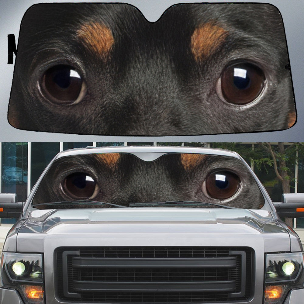 Miniature Pinscher's Eyes-Beautiful Dog Eyes Car Sun Shade Cover Auto Windshield