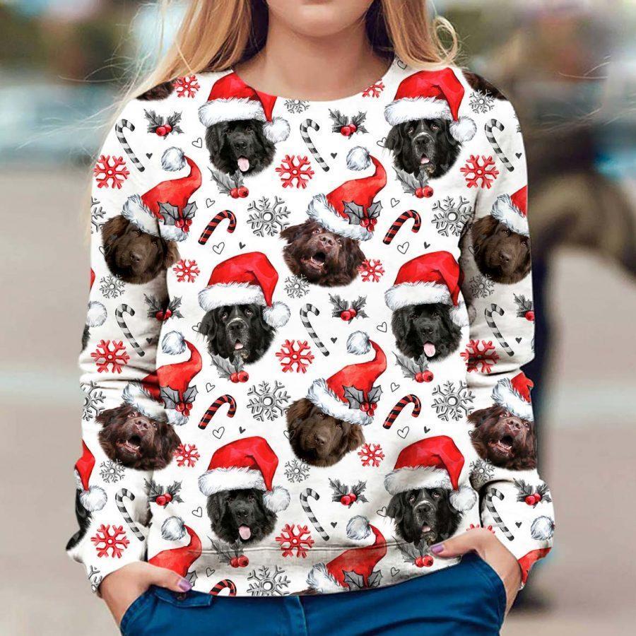Newfoundland - Xmas Decor - Premium Sweatshirt