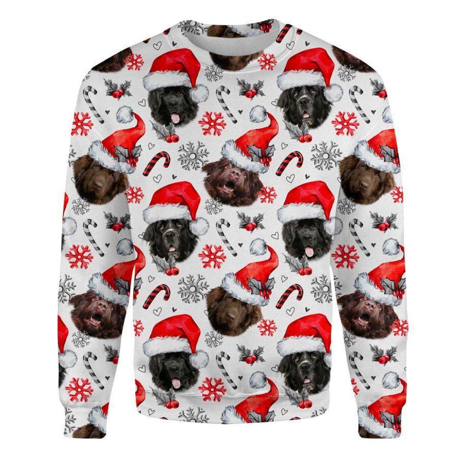 Newfoundland - Xmas Decor - Premium Sweatshirt