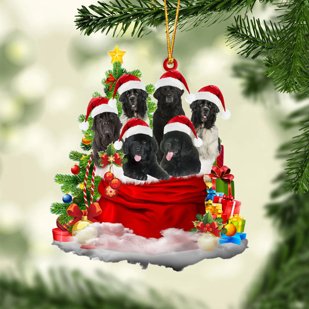 Newfoundland-Christmas Bag&amp;Dogs-Two Sided Ornament