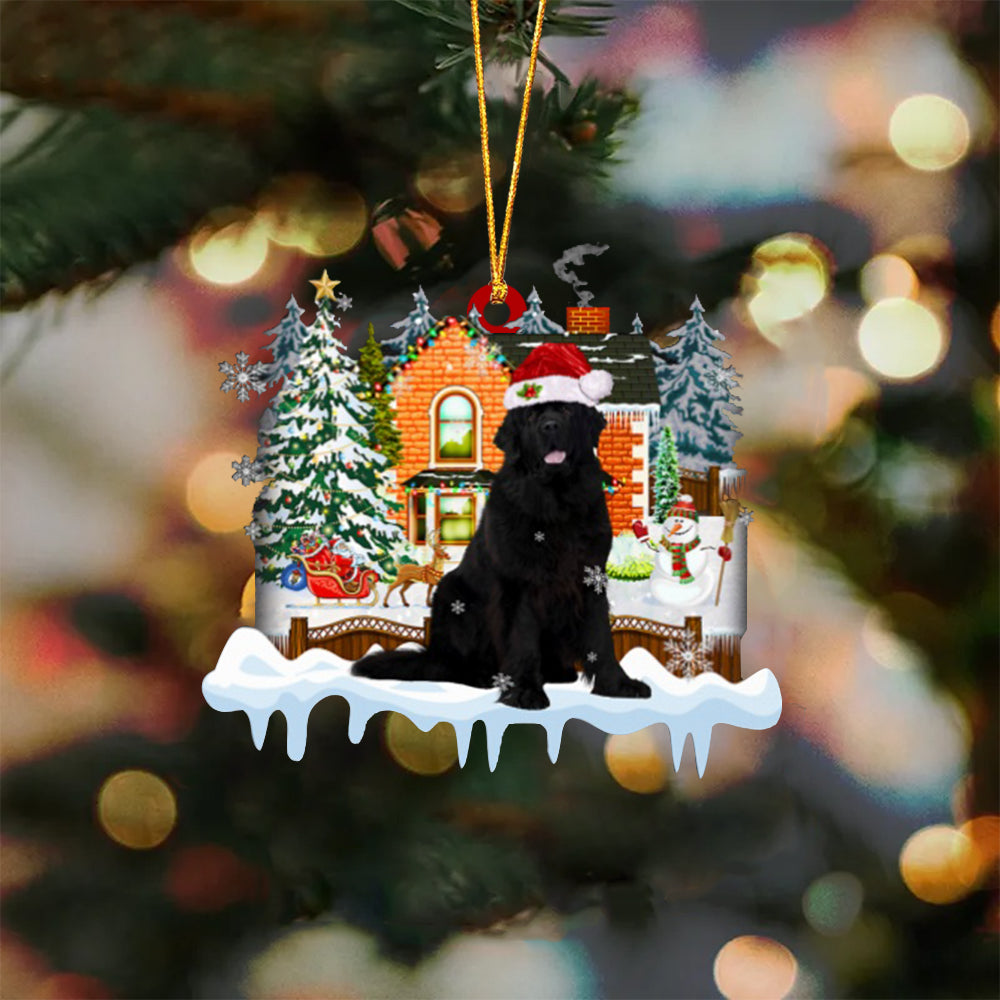Newfoundland-Xmas House-Two Sided Ornament