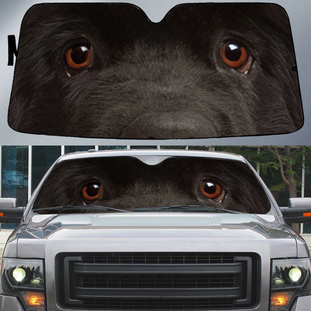 Newfoundland's Eyes-Beautiful Dog Eyes Car Sun Shade Cover Auto Windshield