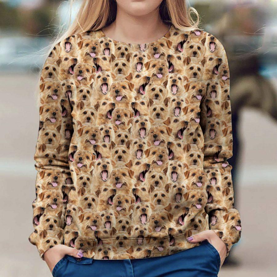 Norfolk Terrier - Full Face - Premium Sweatshirt