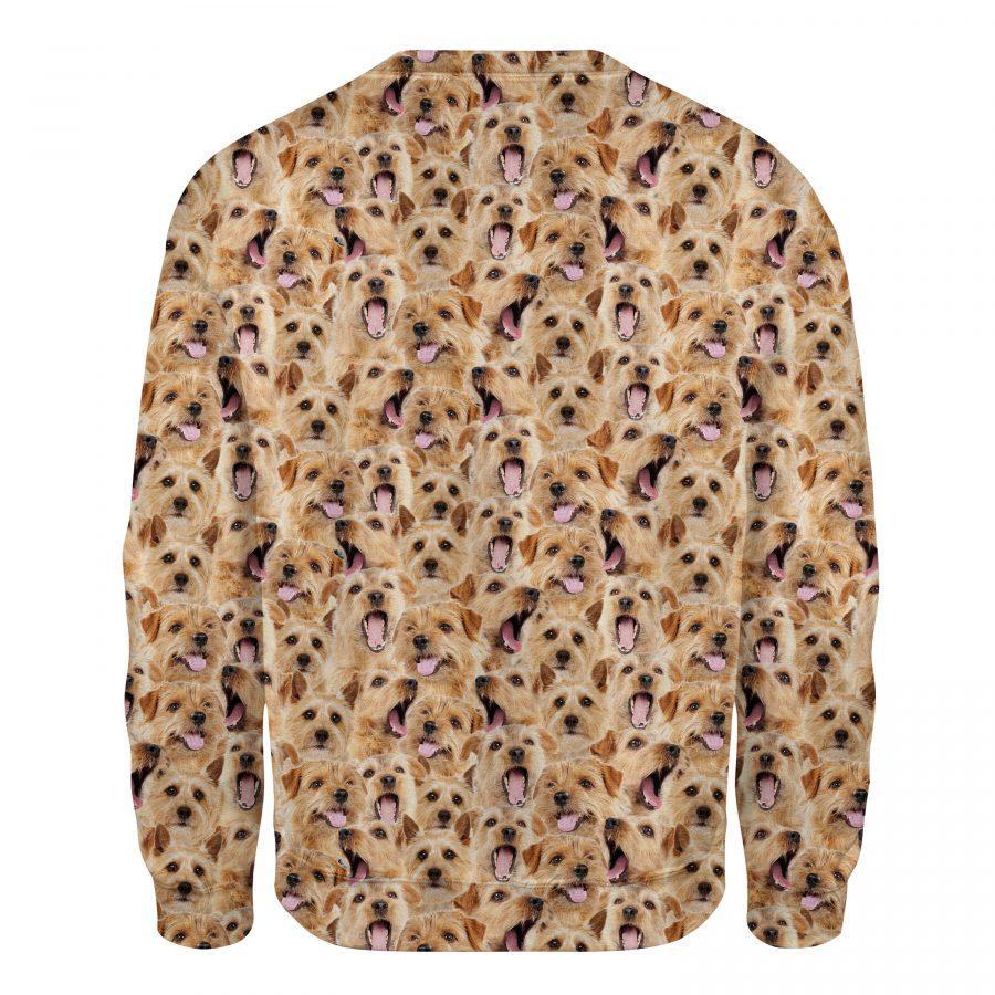 Norfolk Terrier - Full Face - Premium Sweatshirt