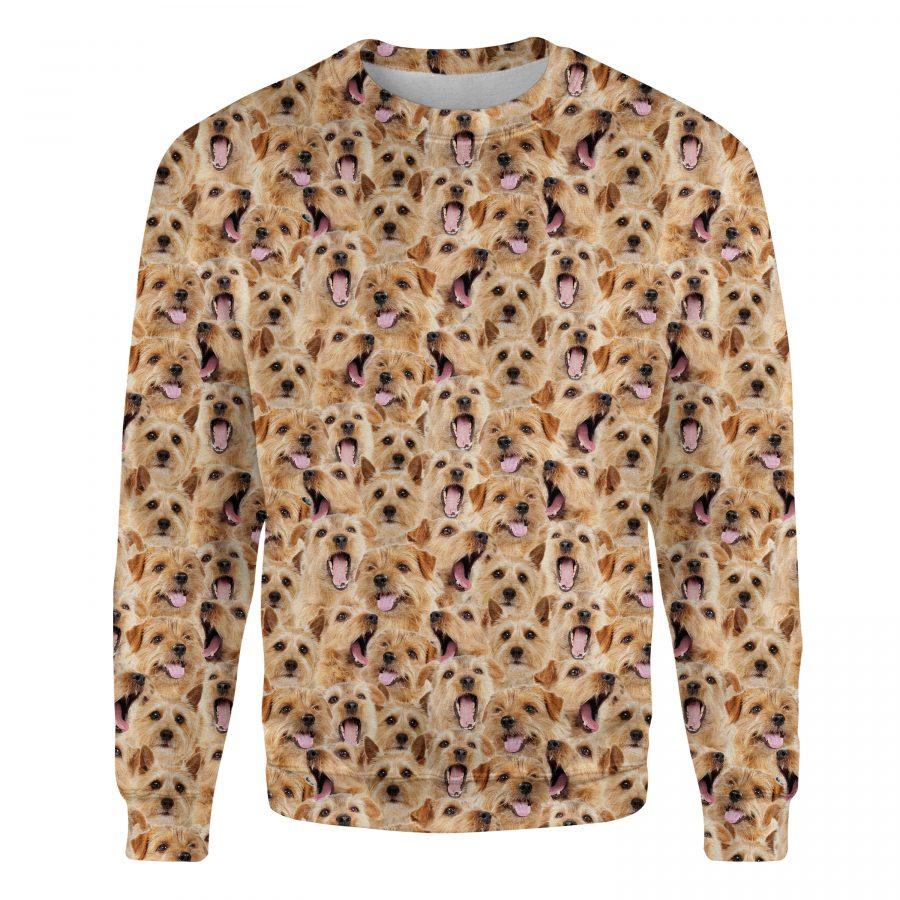 Norfolk Terrier - Full Face - Premium Sweatshirt