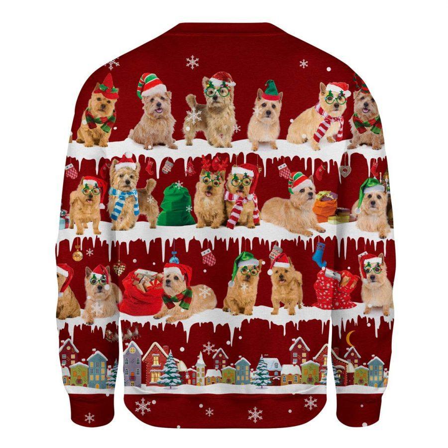 Norwich Terrier - Snow Christmas - Premium Sweatshirt
