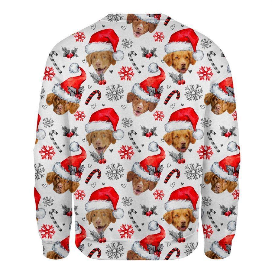 Nova Scotia Duck Tolling  - Xmas Decor - Premium Sweatshirt