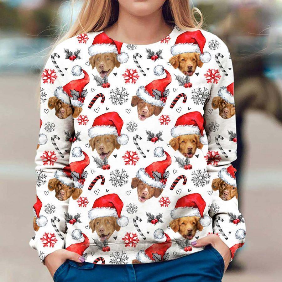 Nova Scotia Duck Tolling  - Xmas Decor - Premium Sweatshirt