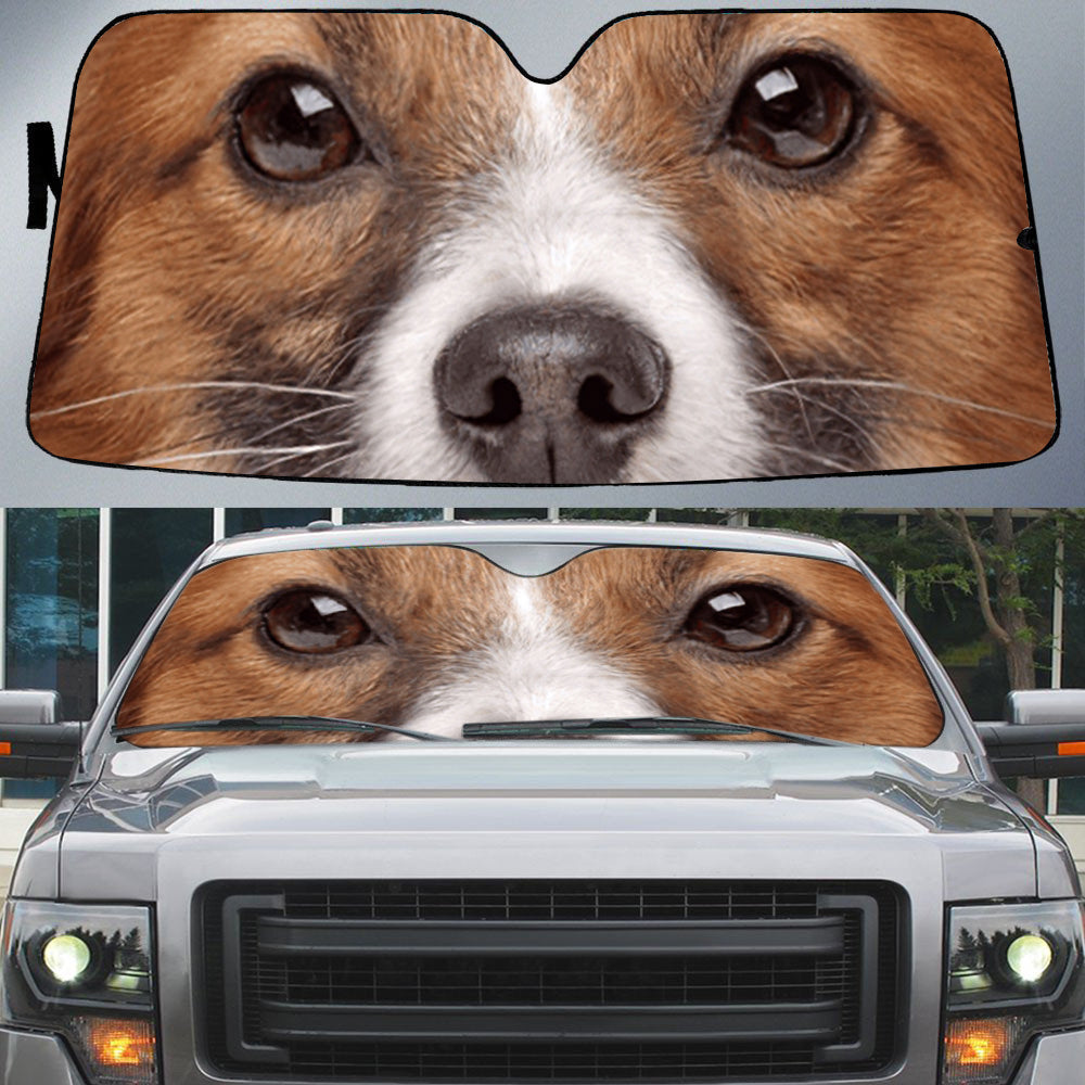 PAPILLON's Eyes-Beautiful Dog Eyes Car Sun Shade Cover Auto Windshield