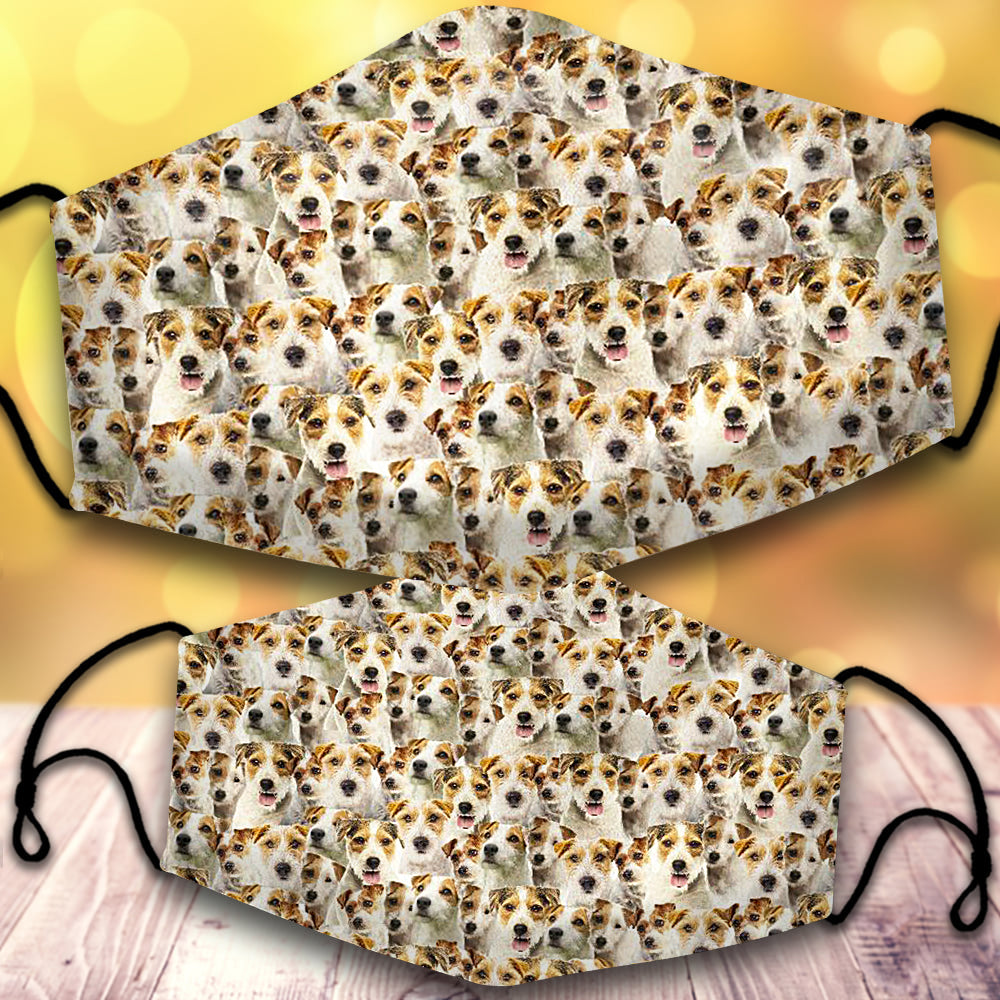 Parson Russell Terrier-Full Veil