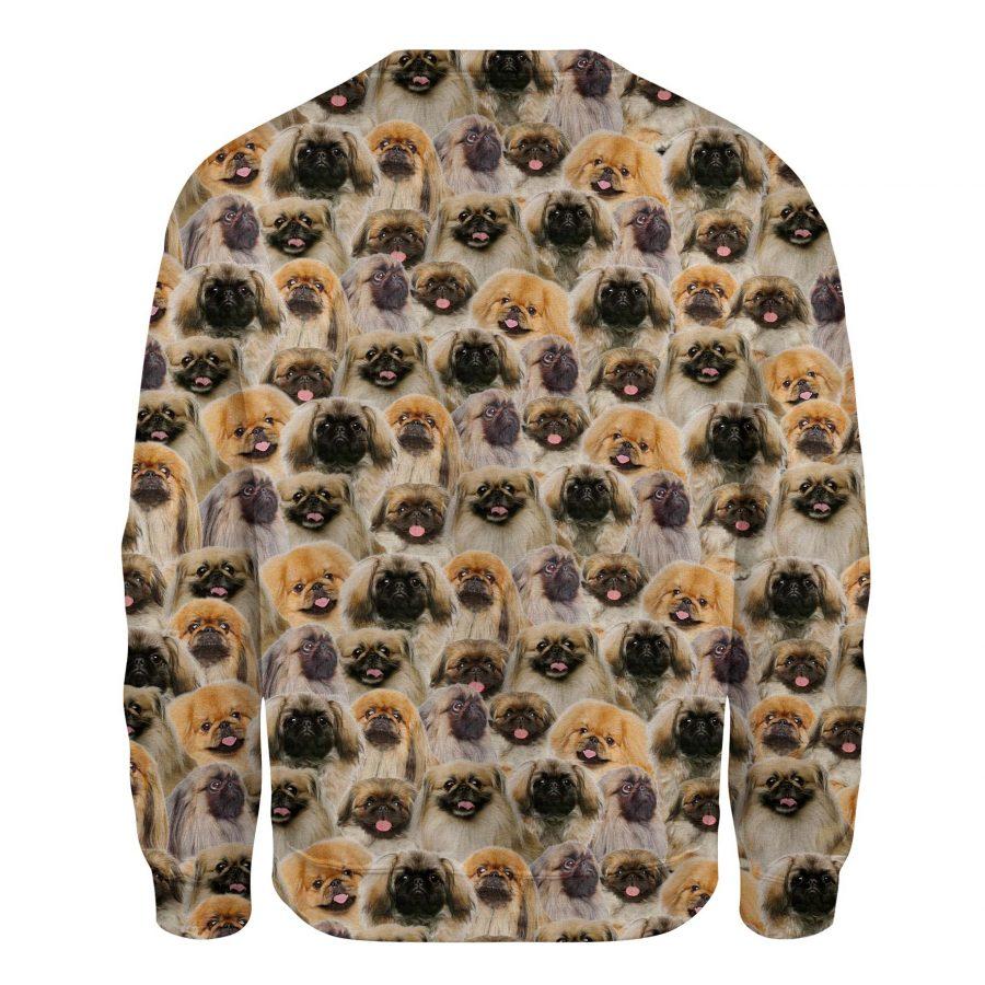 Pekingese - Full Face - Premium Sweatshirt