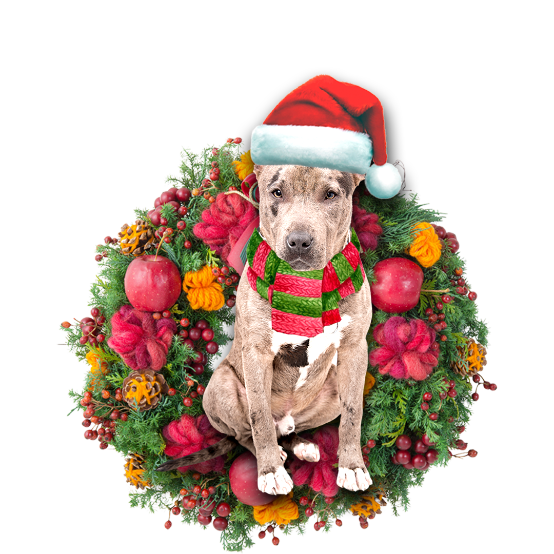 Pit Bull Christmas Ornament