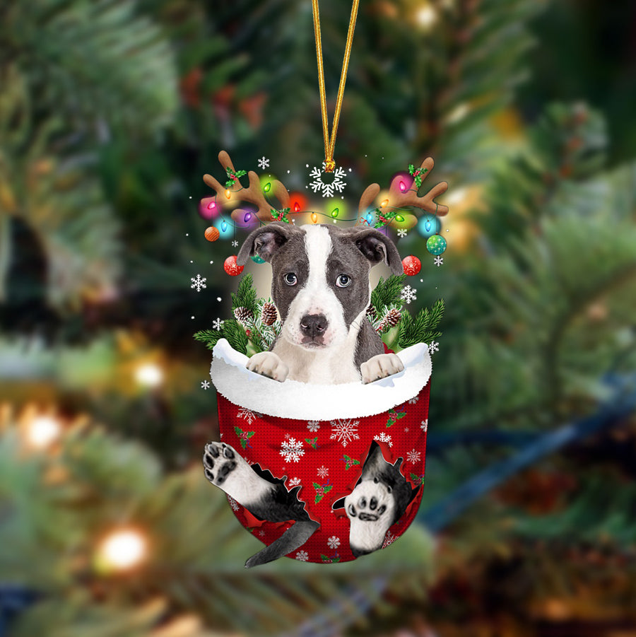 Pitbull-In Christmas Pocket Two Sides Ornament