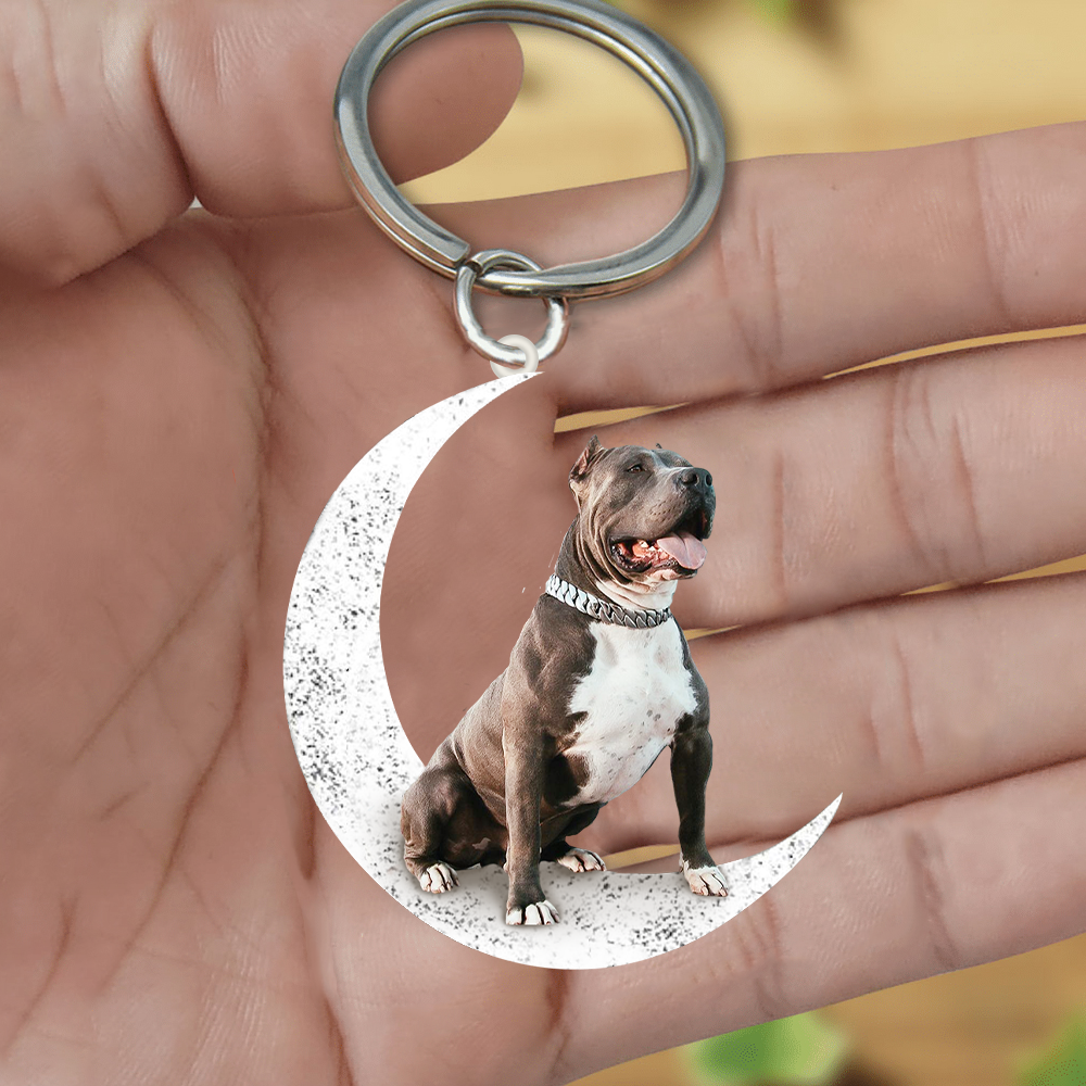 Pitbull-Sit On The Moon Keychain