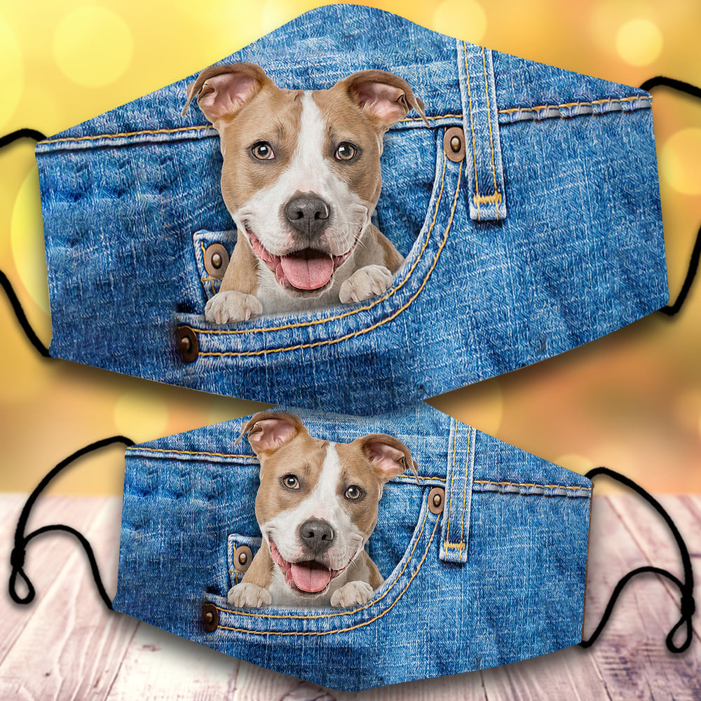 Pitbull-In Pocket-Veil
