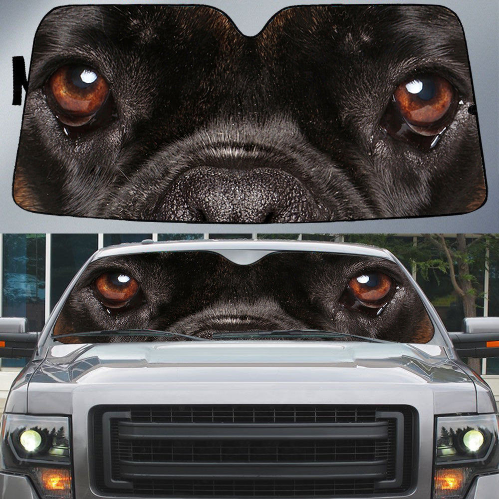 Pitbull's Eyes-Beautiful Dog Eyes Car Sun Shade Cover Auto Windshield