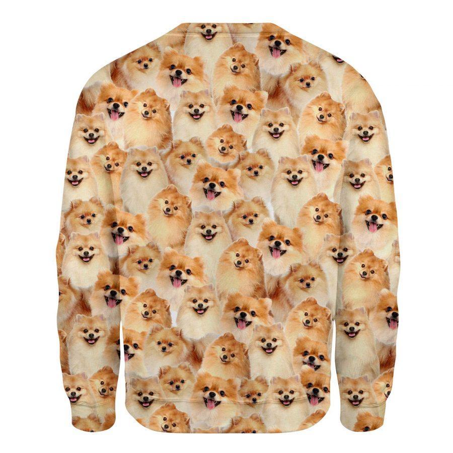 Pomeranian - Full Face - Premium Sweatshirt