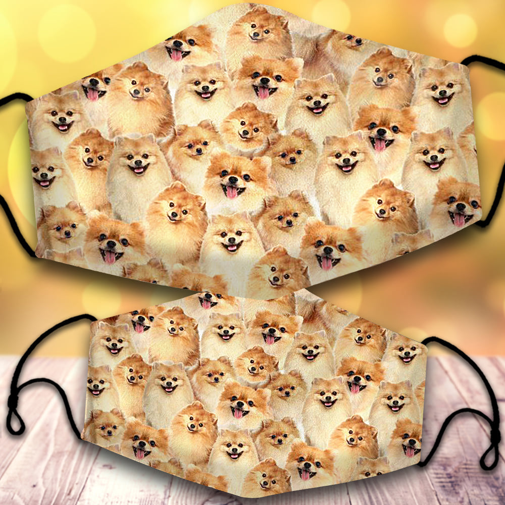 Pomeranian-Full Veil