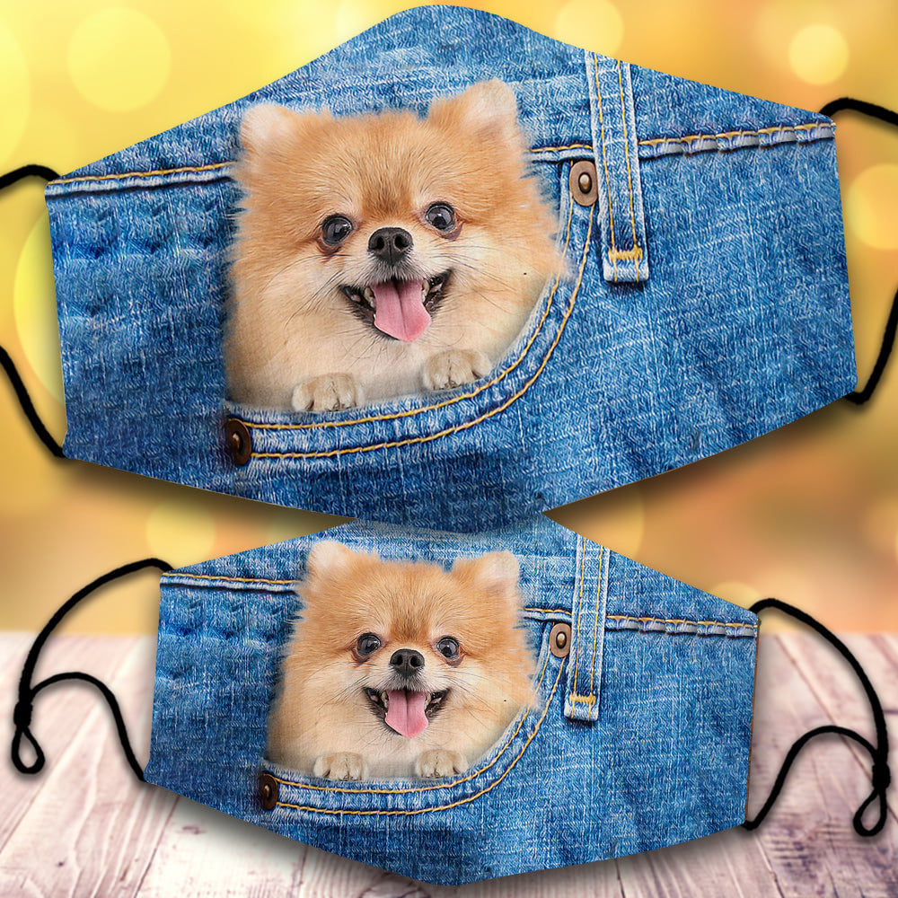 Pomeranian-In Pocket-Veil