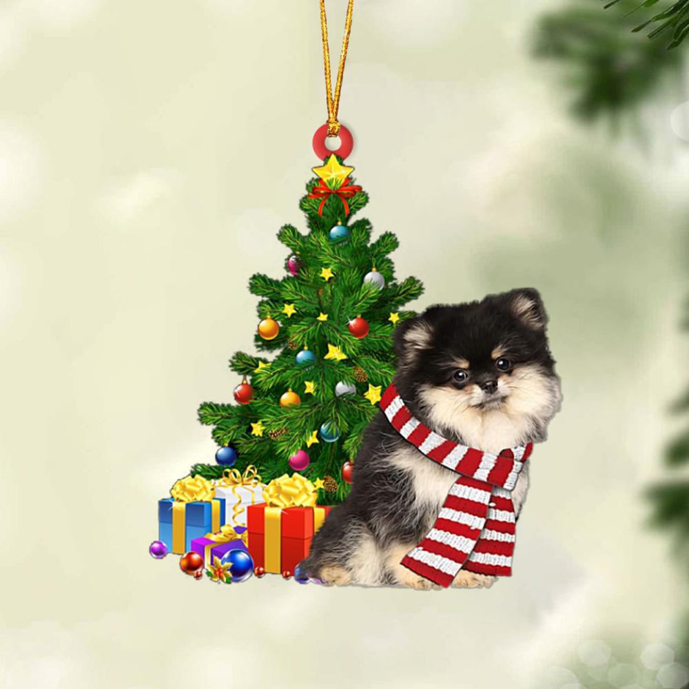 Pomeranian 1-Christmas Star Hanging Ornament