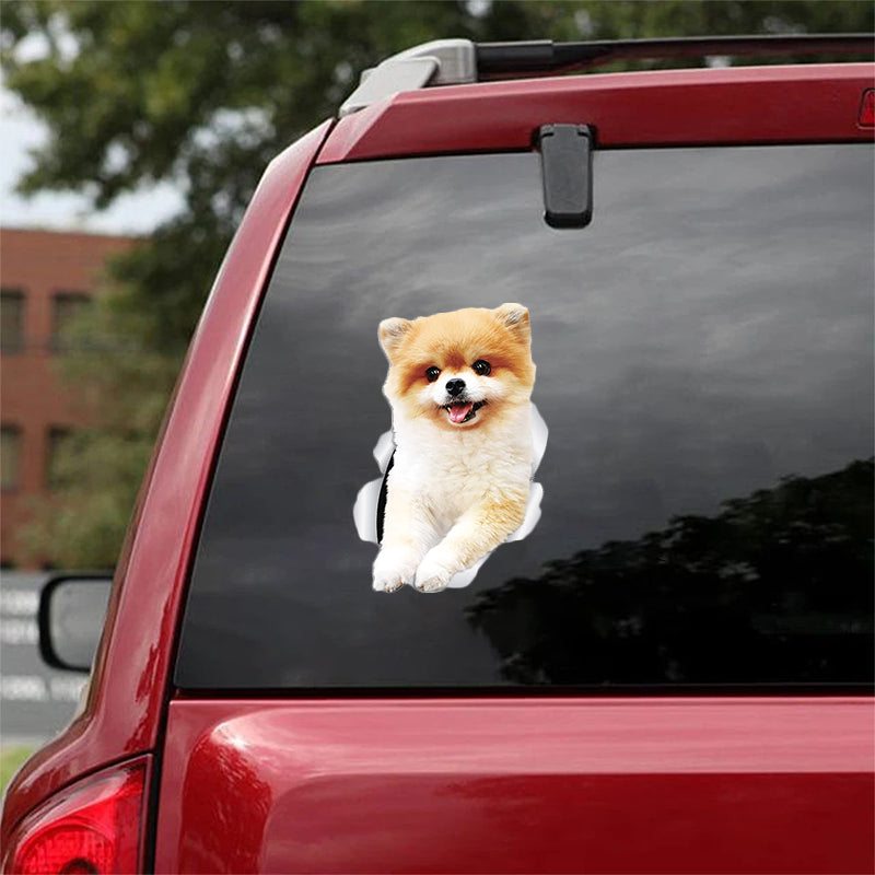 Cute Pomeranian 2 CRACK CAR STICKER