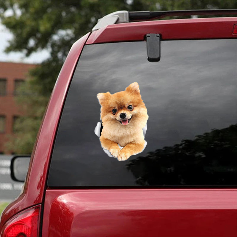Cute Pomeranian CRACK CAR STICKER