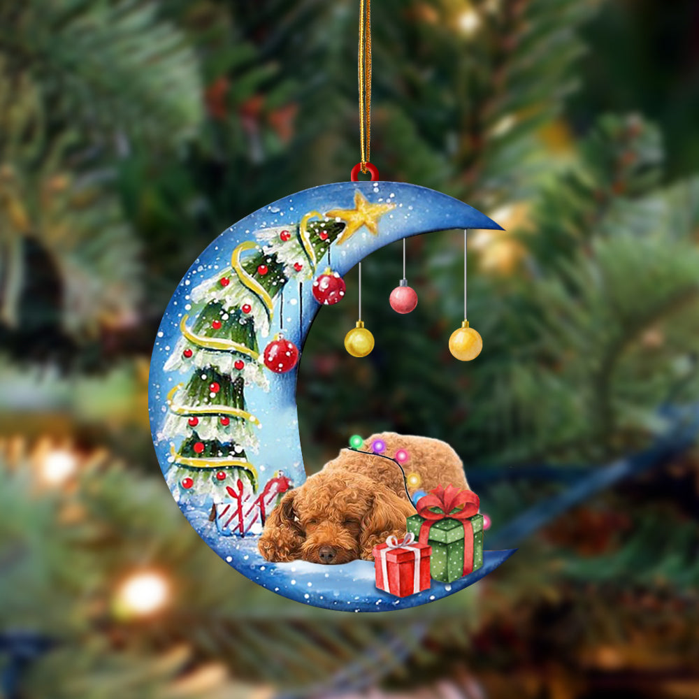 Poodle1-Sleep On The Moon Christmas Two Sided Ornament