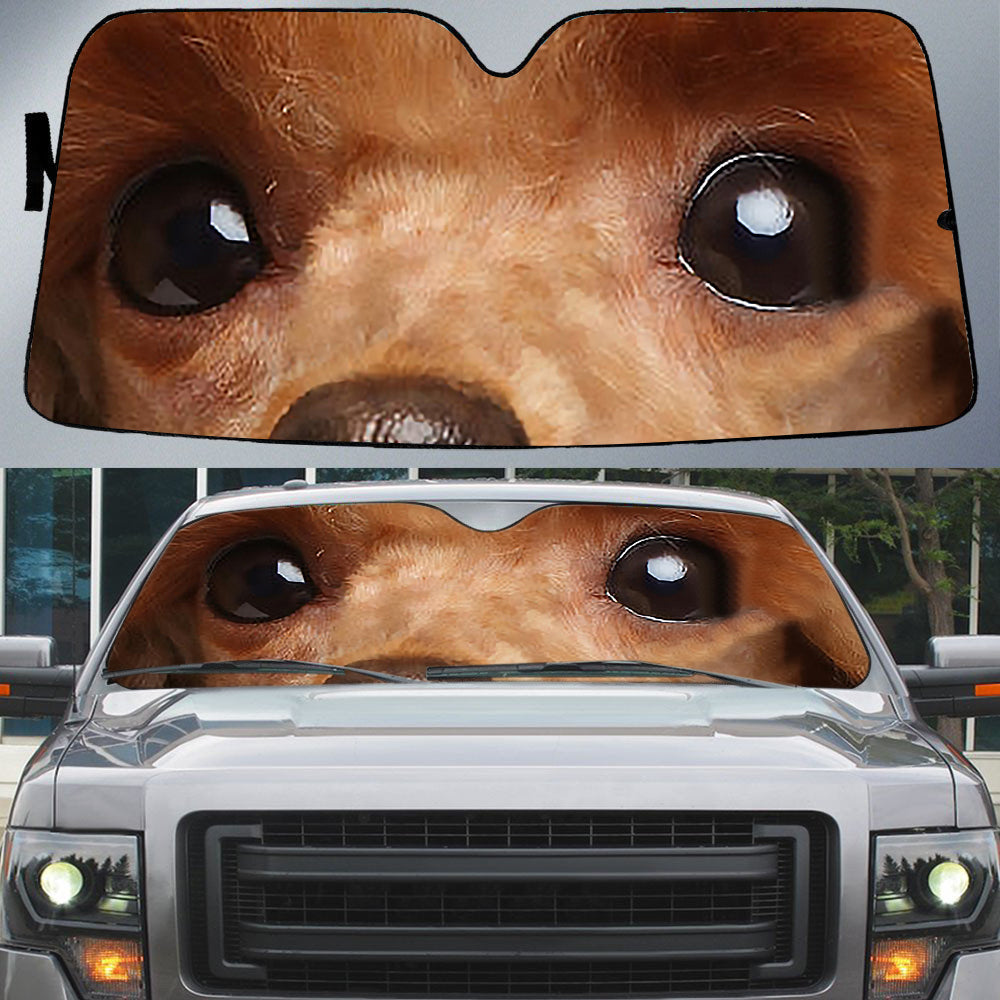 Poodle (2)'s Eyes-Beautiful Dog Eyes Car Sun Shade Cover Auto Windshield