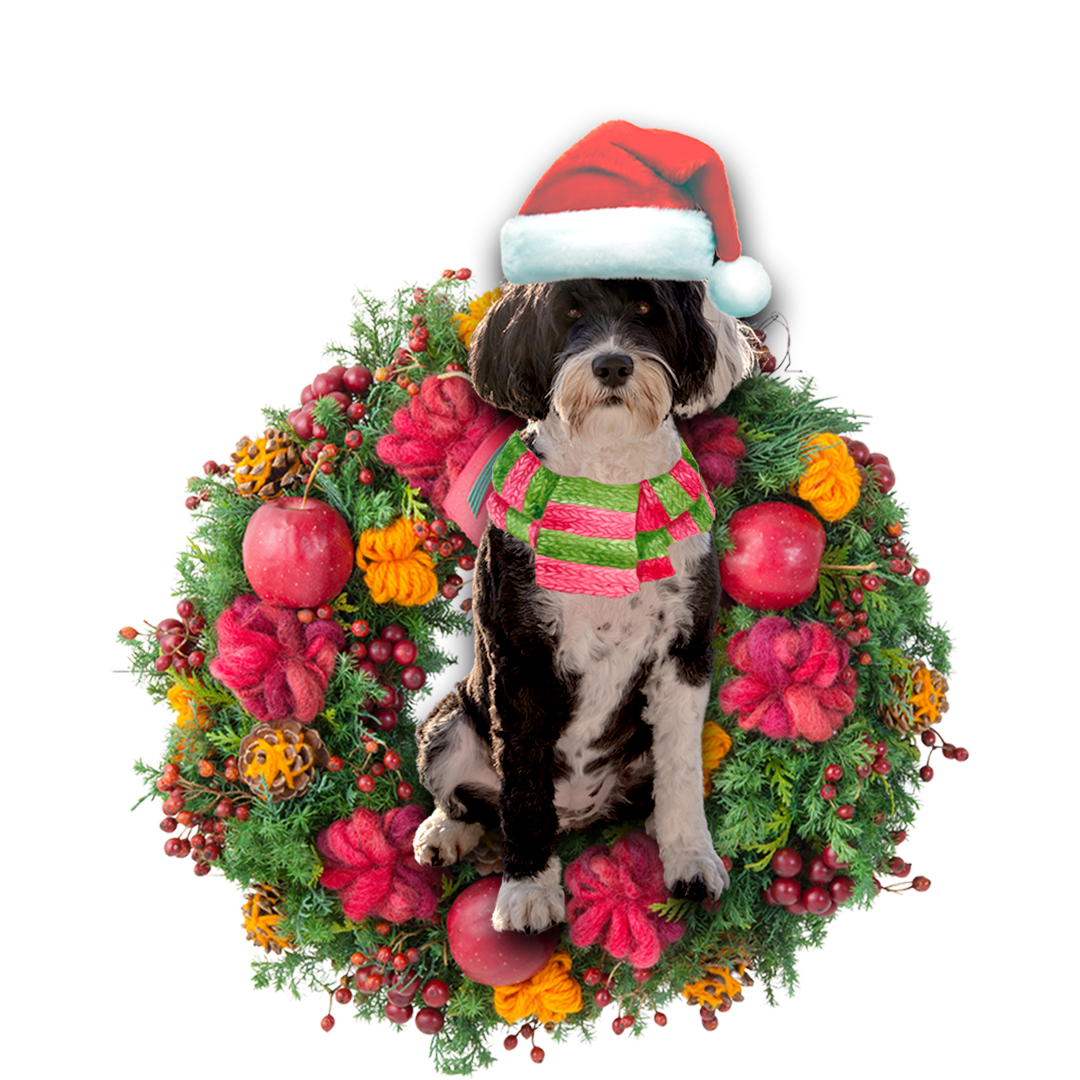 Portuguese Water Dog Christmas Ornament