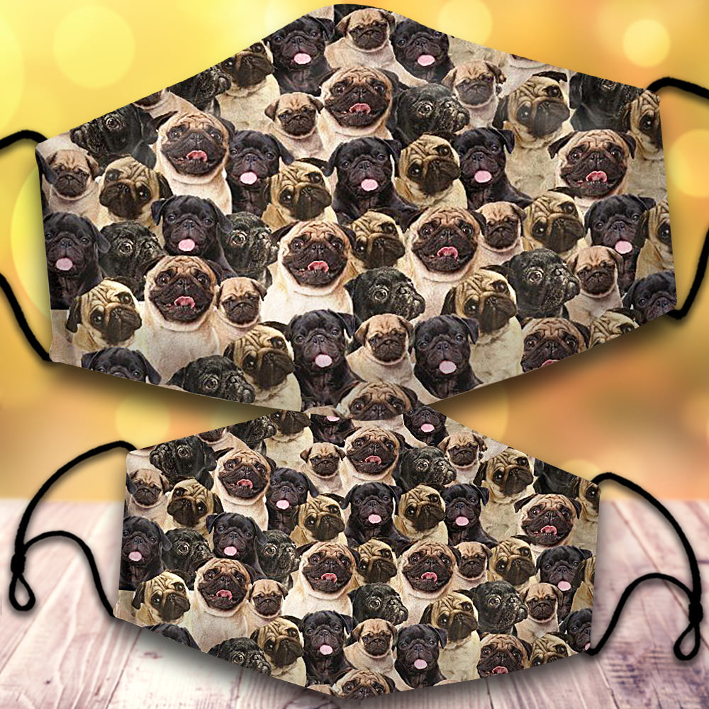 Pug-Full Veil