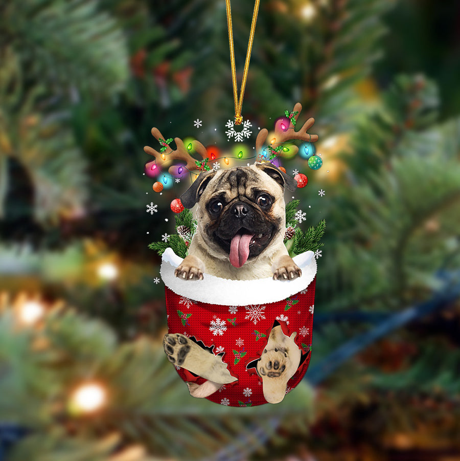 In Christmas Pocket Two Sides Ornament