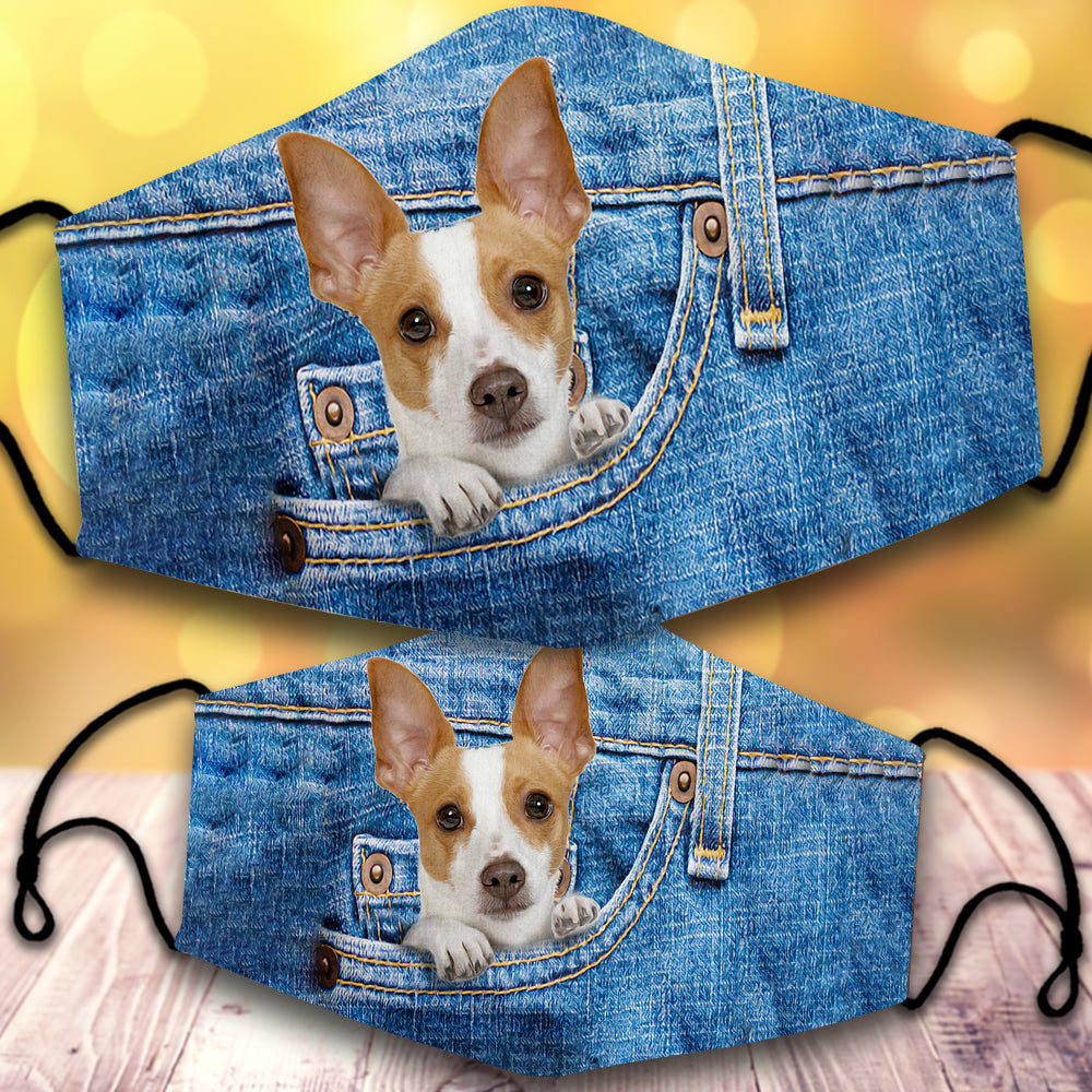 Rat terrier-In Pocket-Veil