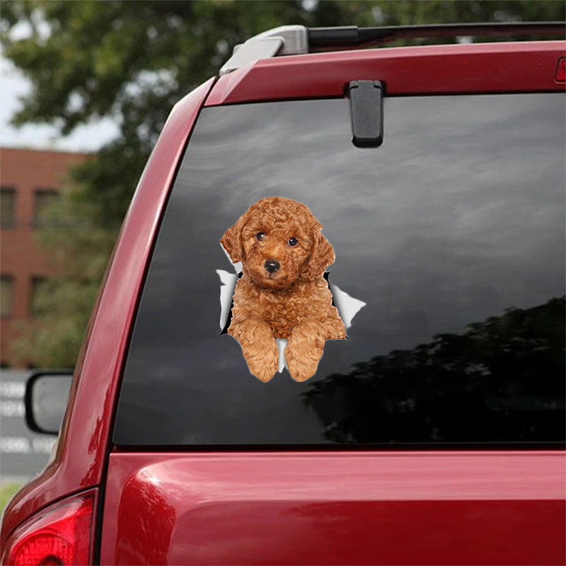 Cute Red Poodle CRACK CAR STICKER