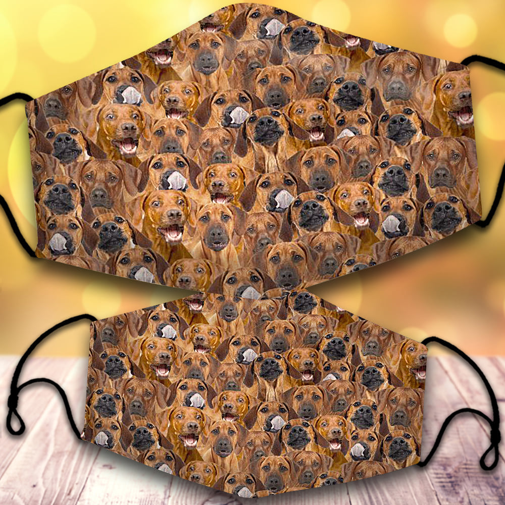 Rhodesian Ridgeback-Full Veil