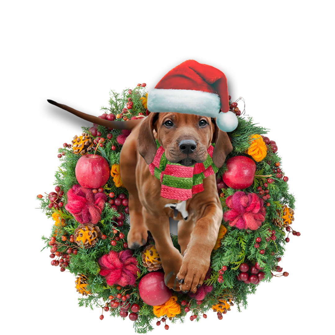 Rhodesian Ridgeback Christmas Ornament